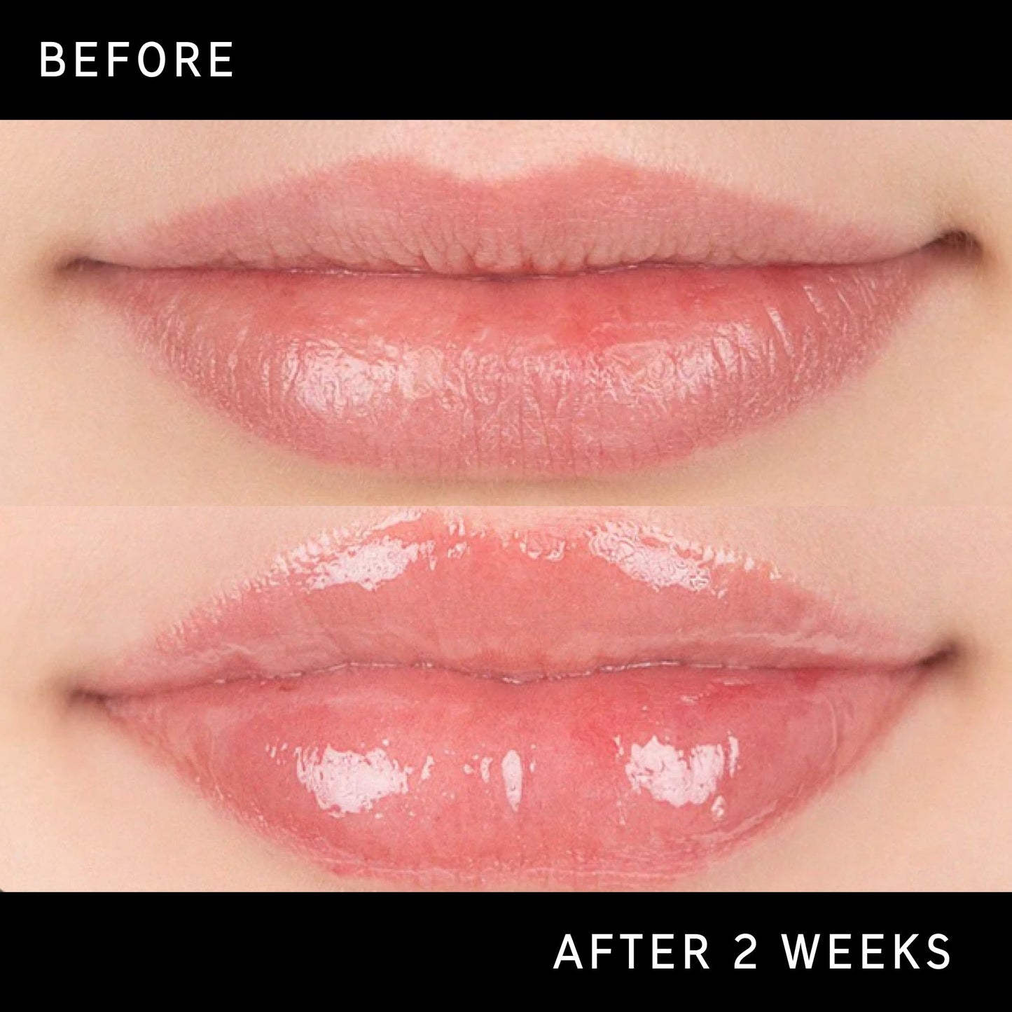 lip-plumping-duo-u5 DTC-Top15_Amends_Tripeptide-Lip_B_A.jpg